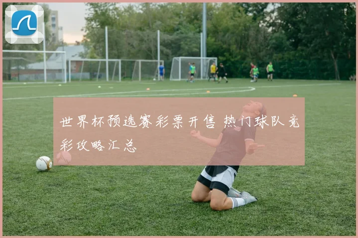 世界杯预选赛彩票开售 热门球队竞彩攻略汇总