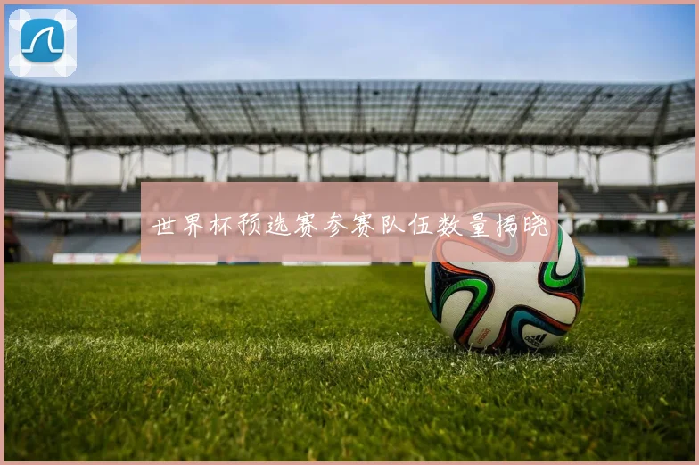 世界杯预选赛参赛队伍数量揭晓