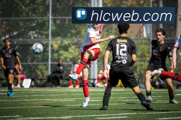 奇异果官网 - 奇异果(中国)APP 封面图